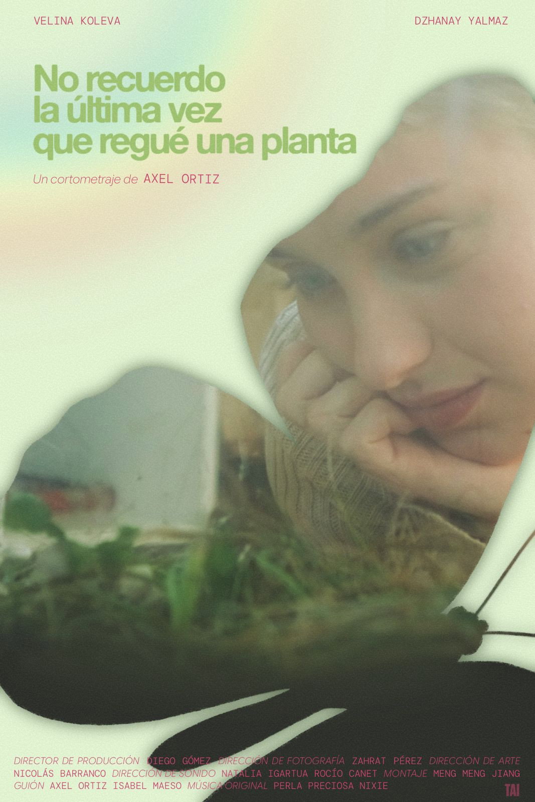 I can't remember the last time I watered a flower (2026) poster