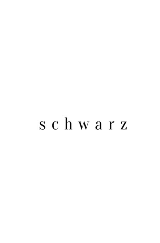 schwarz (2021) poster