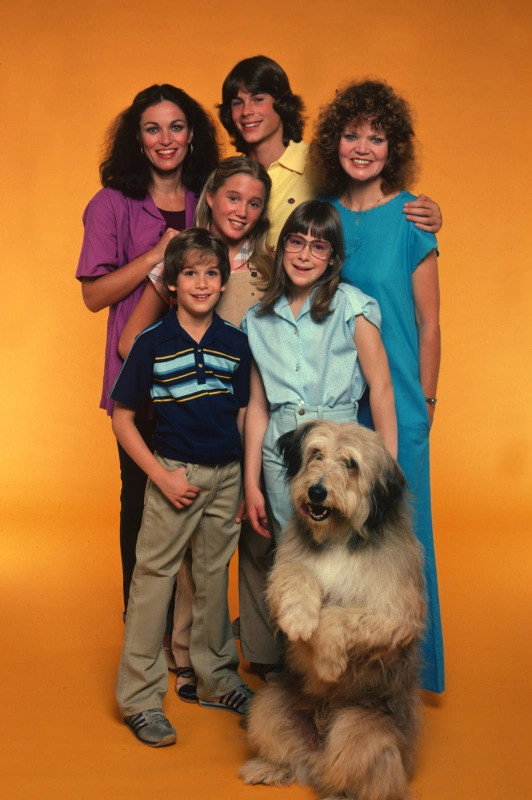 A New Kind of Family (1979) poster