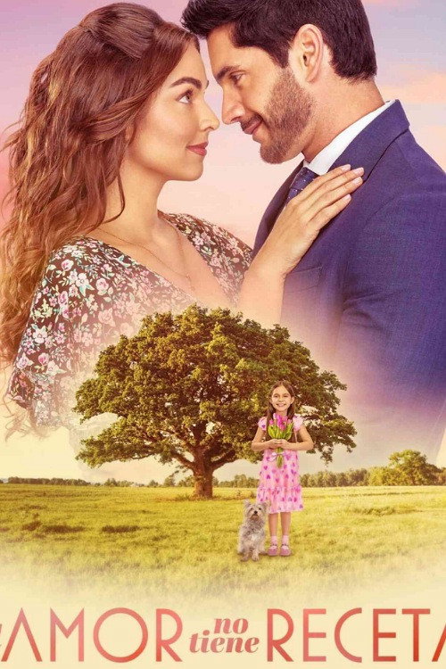 El amor no tiene receta (2024) poster