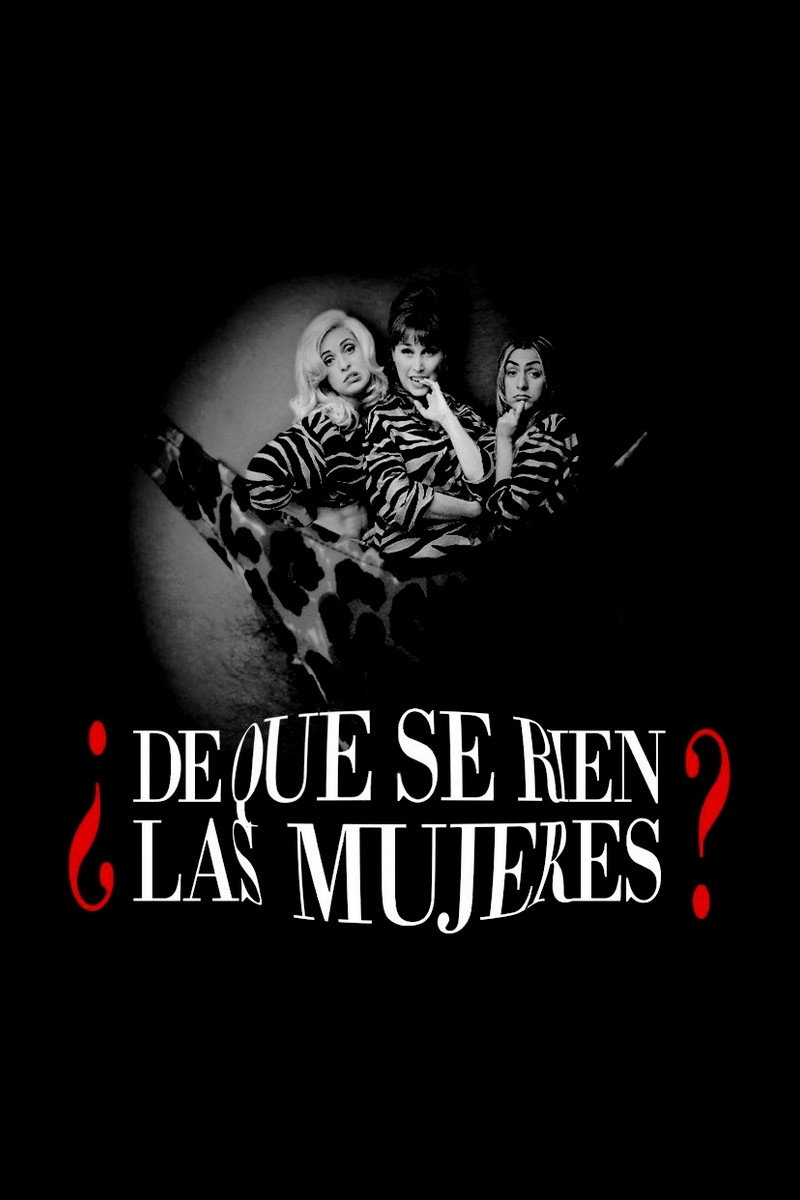 What Makes Women Laugh? (1997) poster