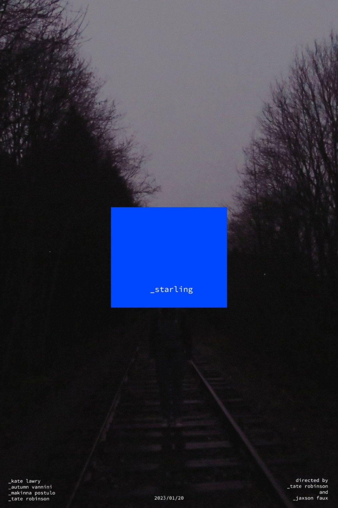 Starling (2023) poster