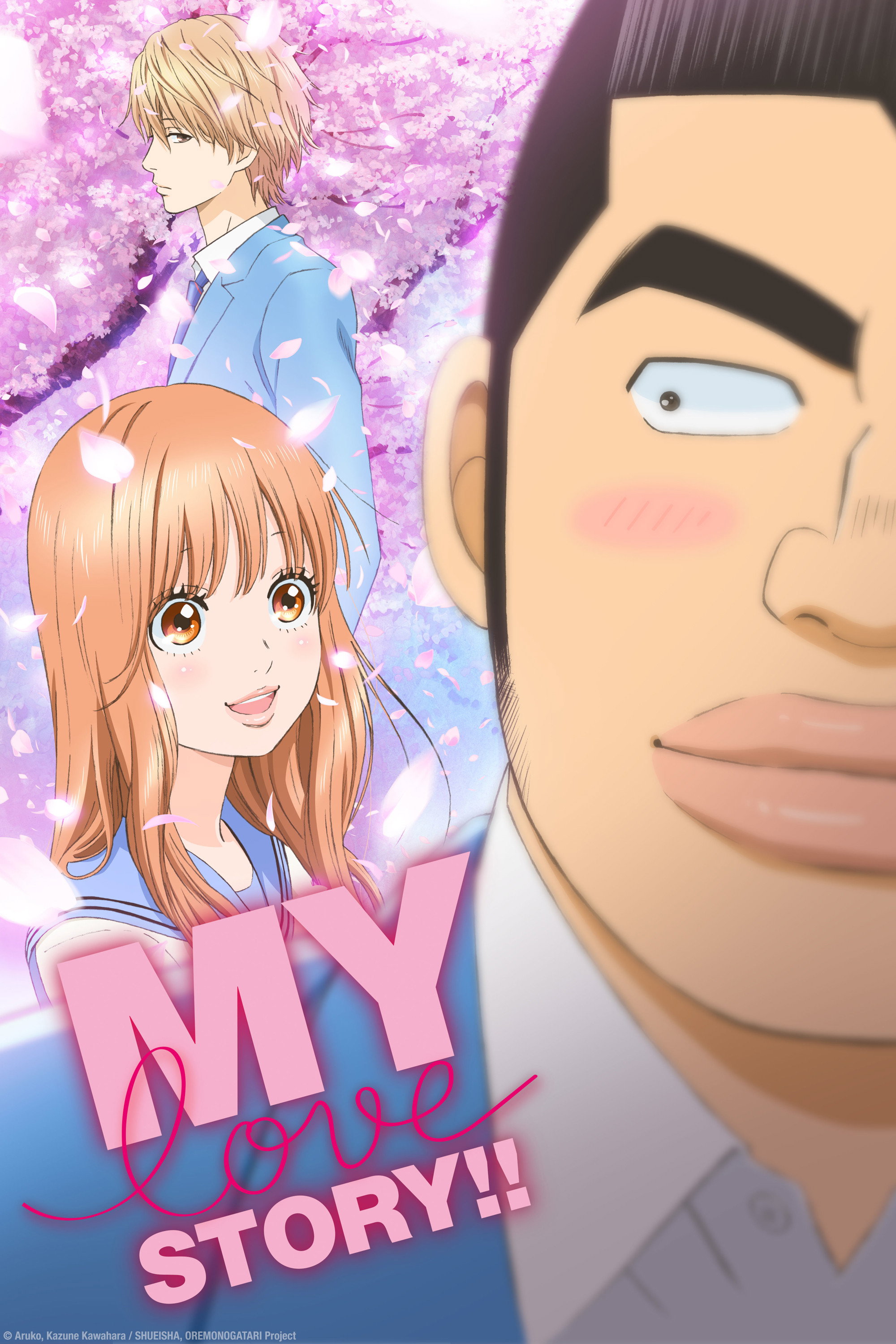 My Love Story!! (2015) poster
