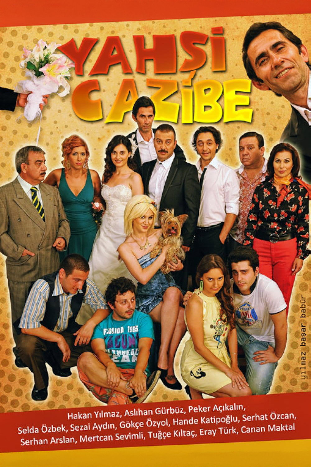 Beautiful Charm (2010) poster