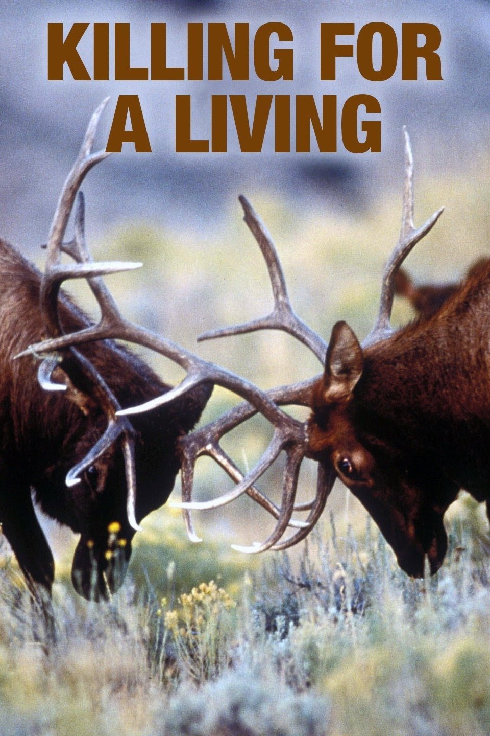 Predators Killing for a Living (1997) poster