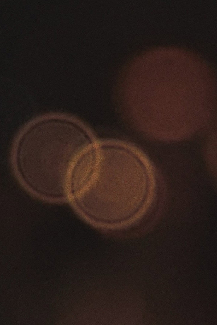 (jetlag dream) (2026) poster