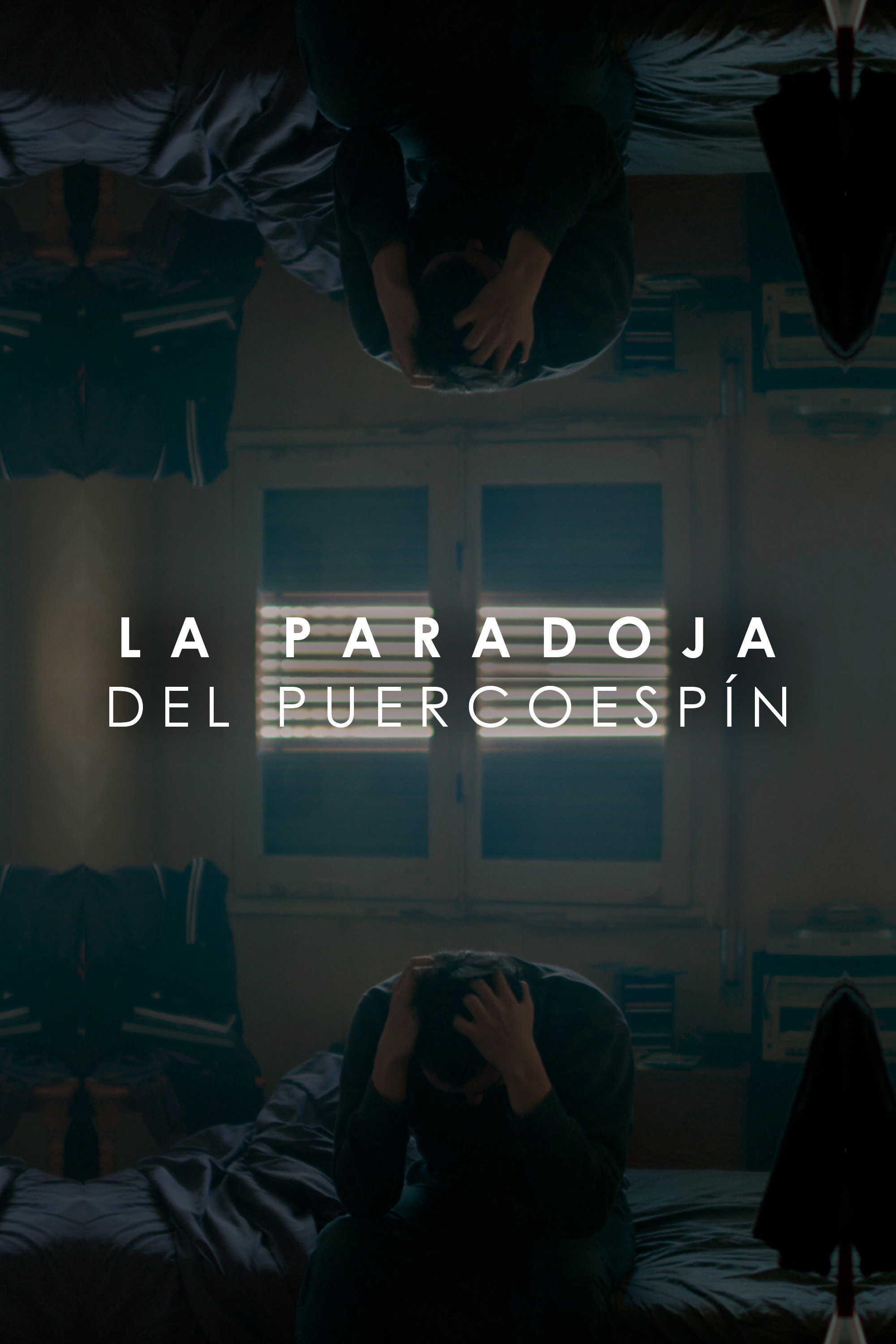 The porcupine paradox (Feature film scene) (2023) poster