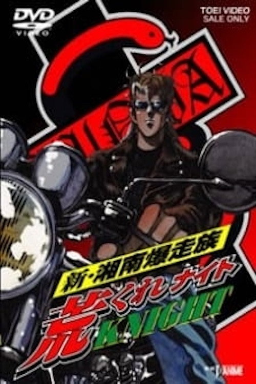 Shin Shounan Bakusouzoku Arakure KNIGHT (1997) poster