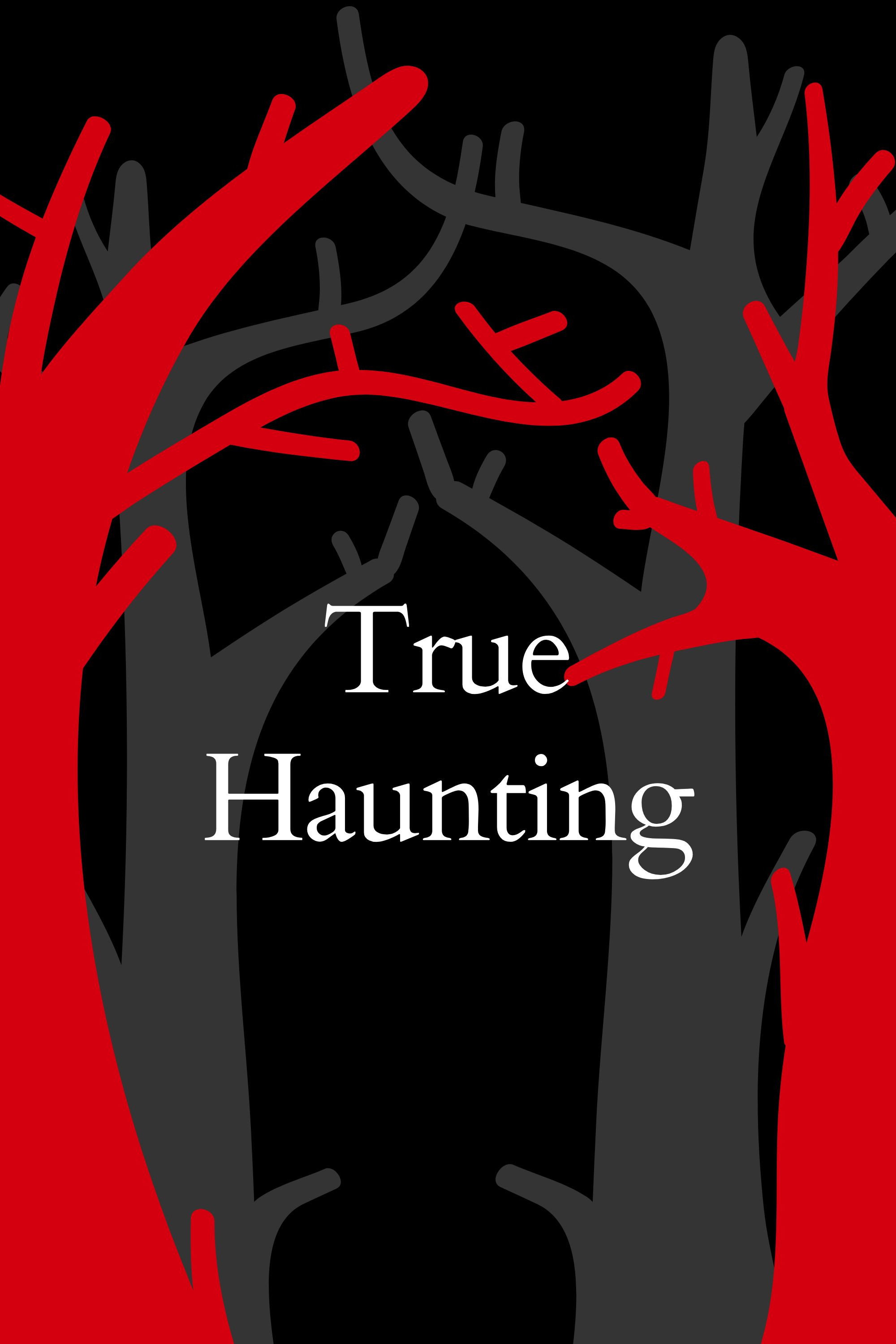 The Haunting in Wicker Park (2026) poster