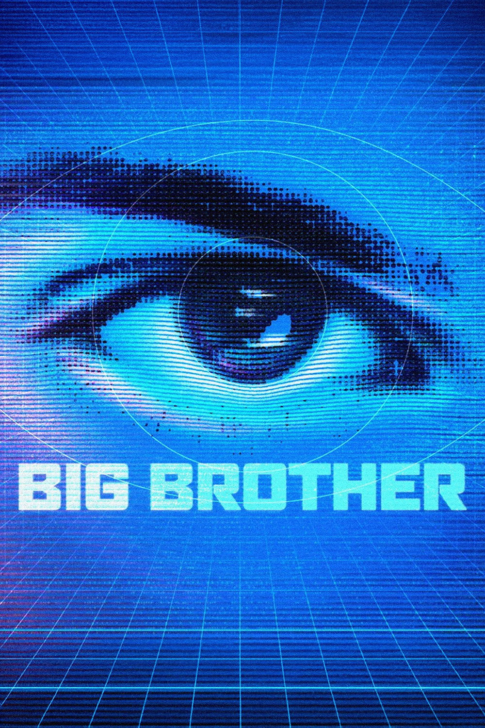 Big Brother (2001) poster