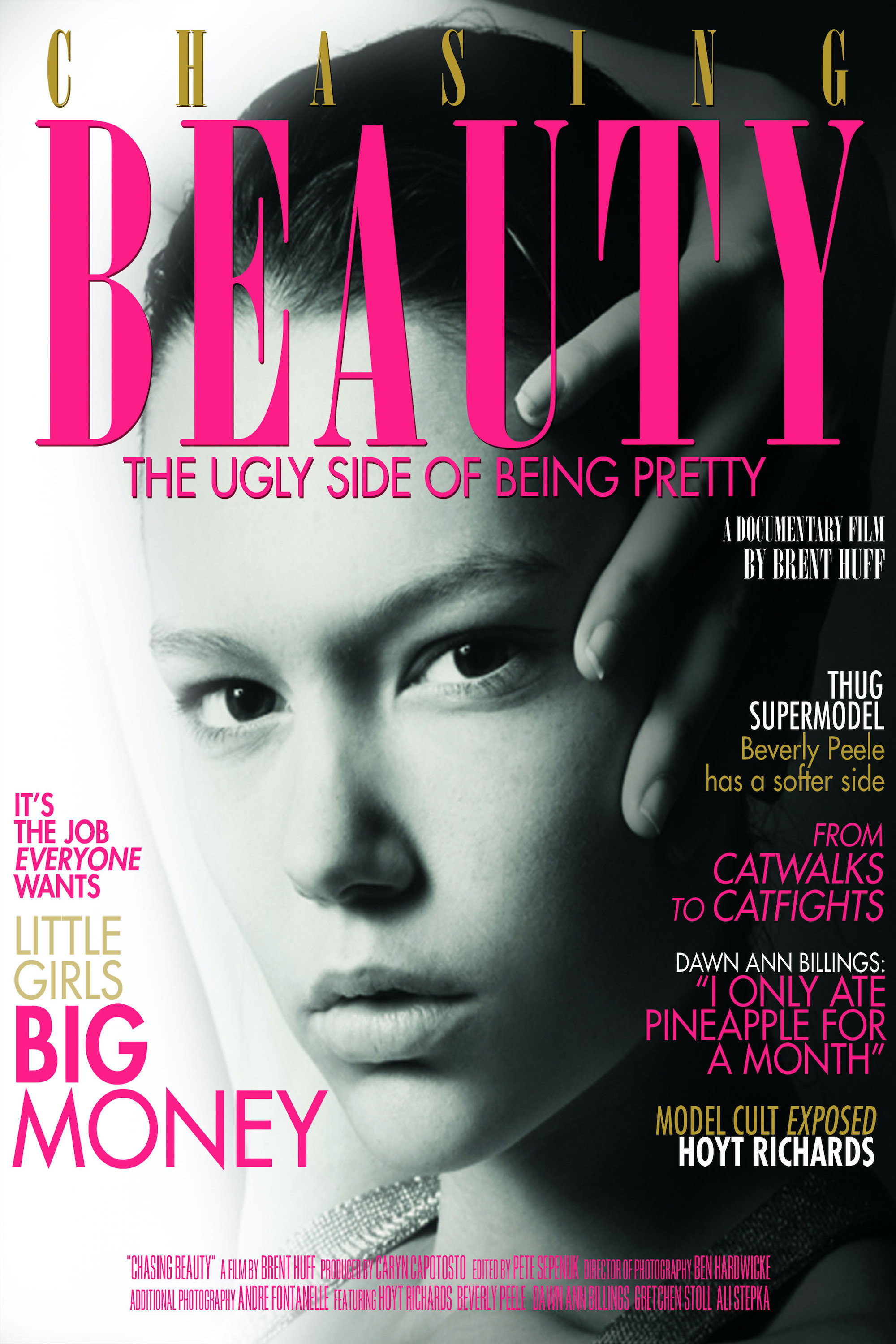 Chasing Beauty (2013) poster