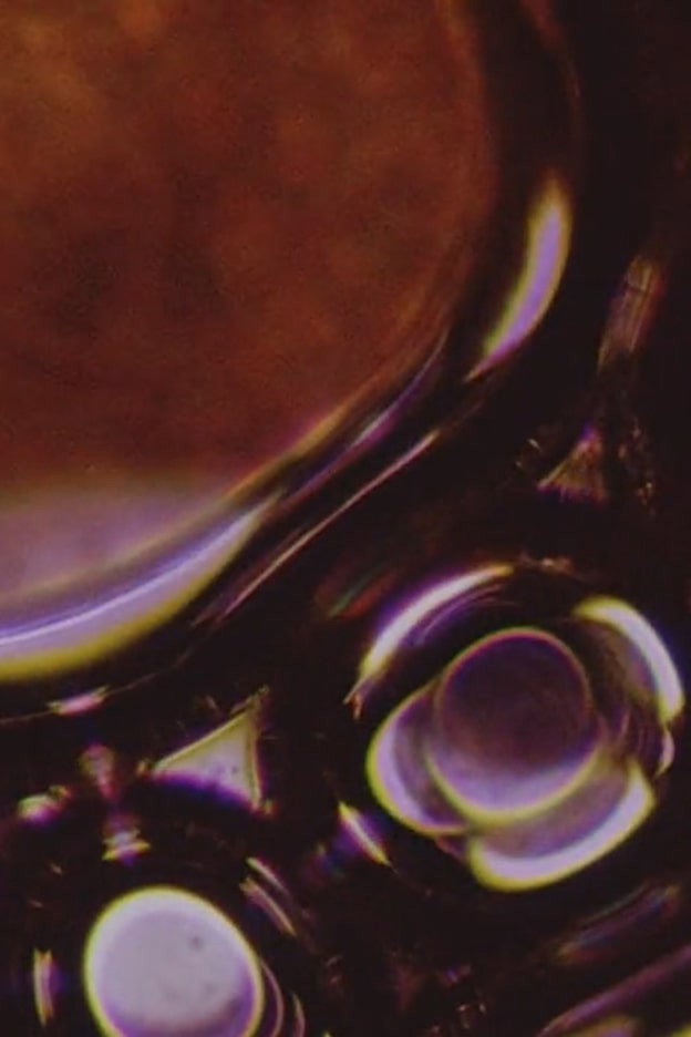 Microform (2010) poster