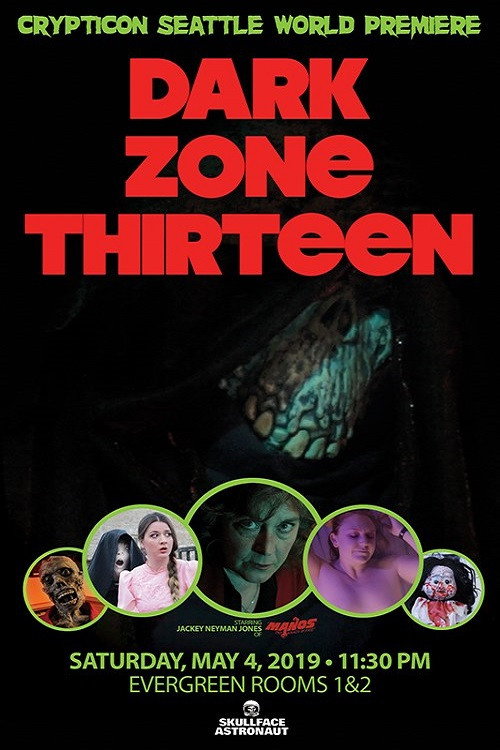 Dark Zone Thirteen (2019) poster