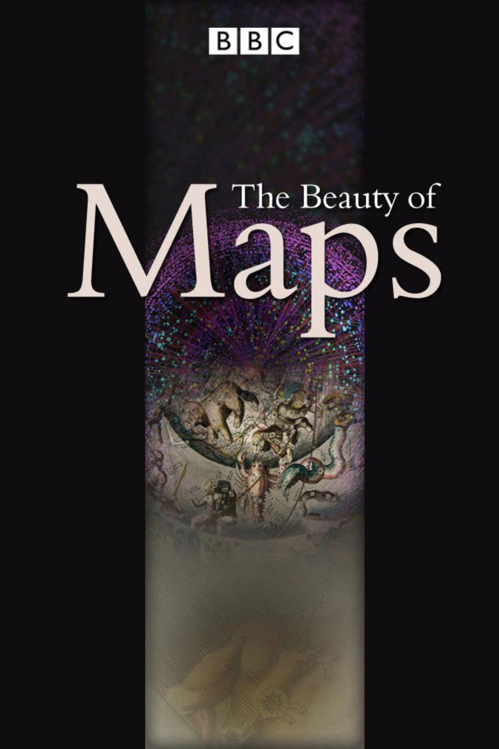 The Beauty of Maps (2010) poster