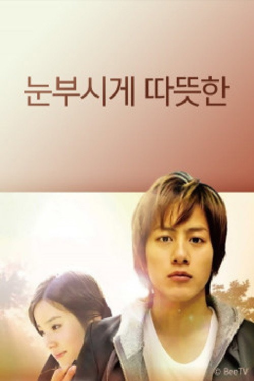 Hidamari no Basho~Hatsukoi~ (2010) poster