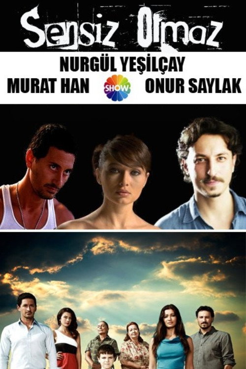 Sensiz Olmaz (2011) poster
