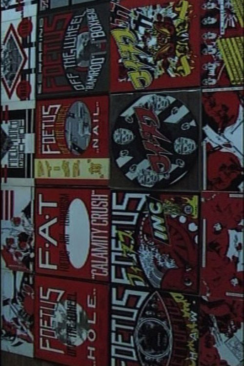 NYC Foetus (2009) poster