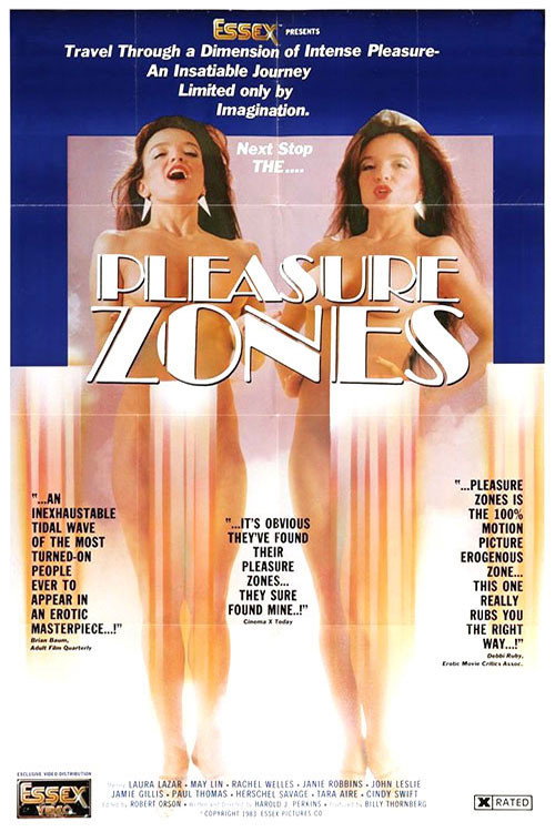 Pleasure Zone (1983) poster