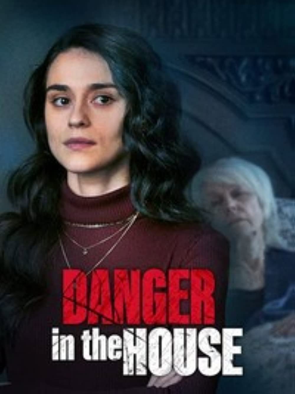 Danger in the House (2022) poster