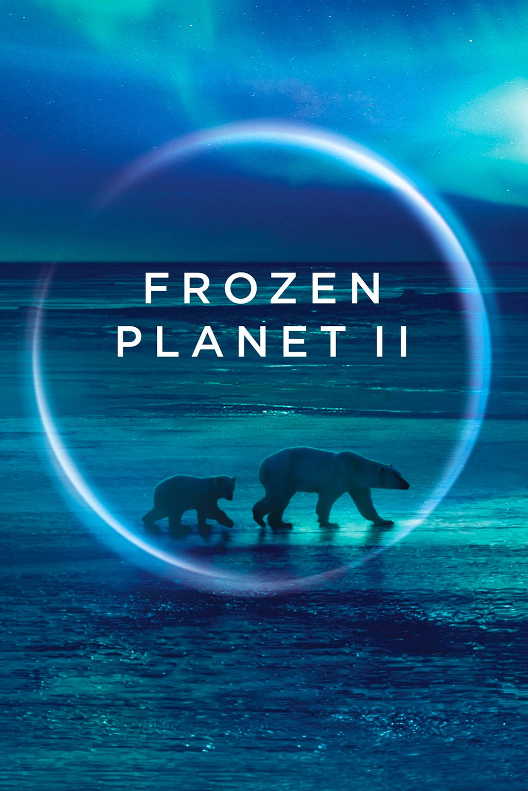 Frozen Planet II (2022) poster