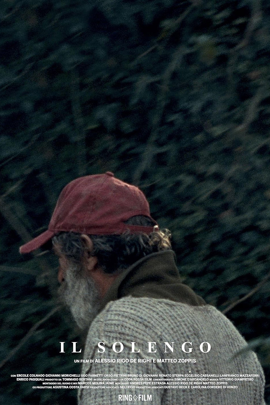 Il solengo (2016) poster