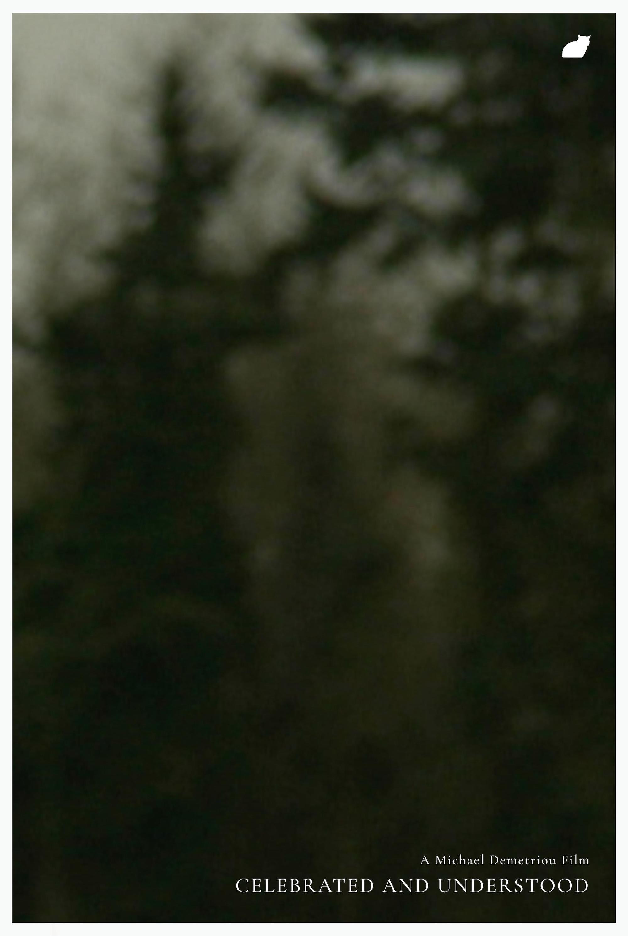 Celebrated and Understood (2011) poster