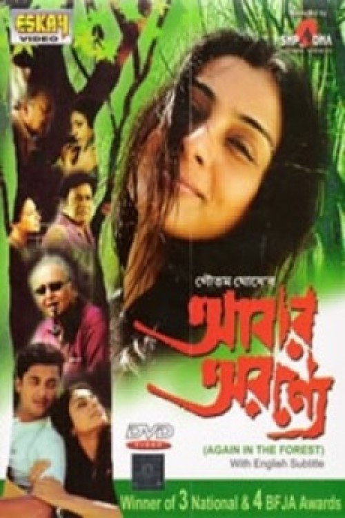 In the Forest... Again (2003) poster
