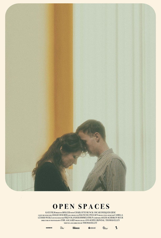 Open Spaces (2018) poster