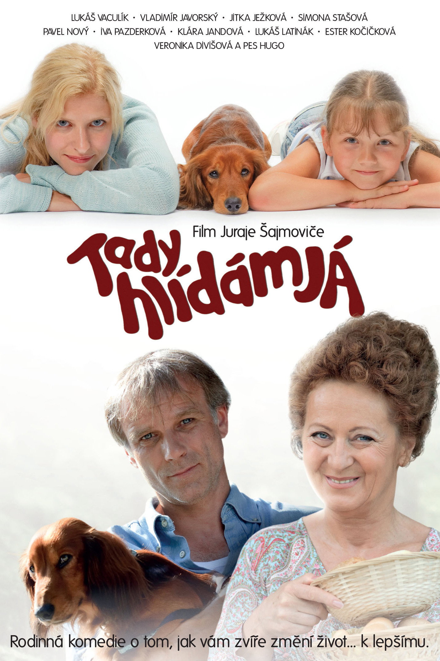 Tady hlídám já (2012) poster