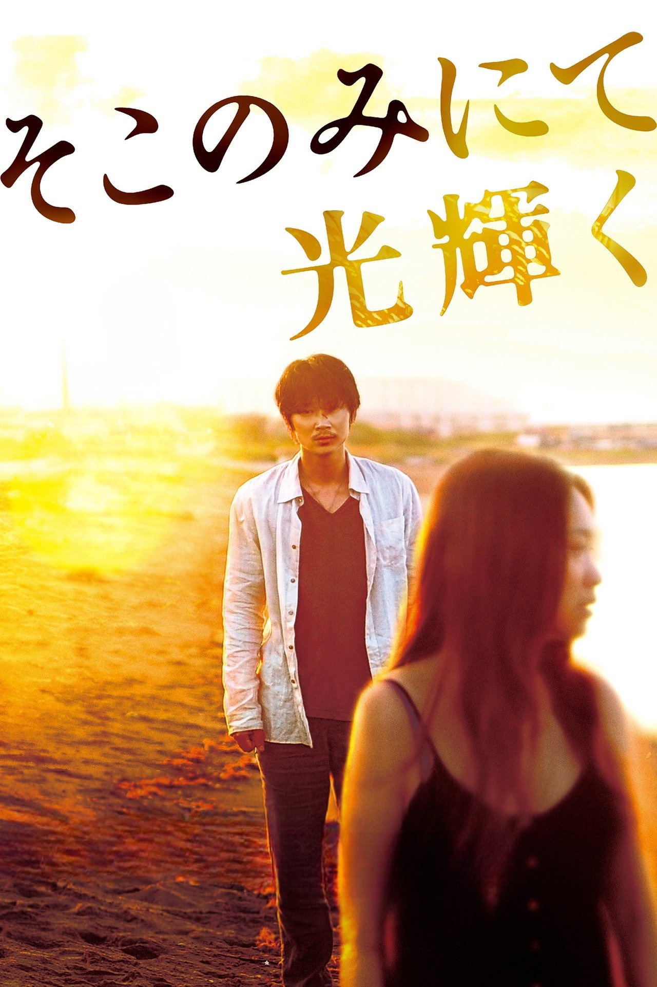 The Light Shines Only There (2014) poster