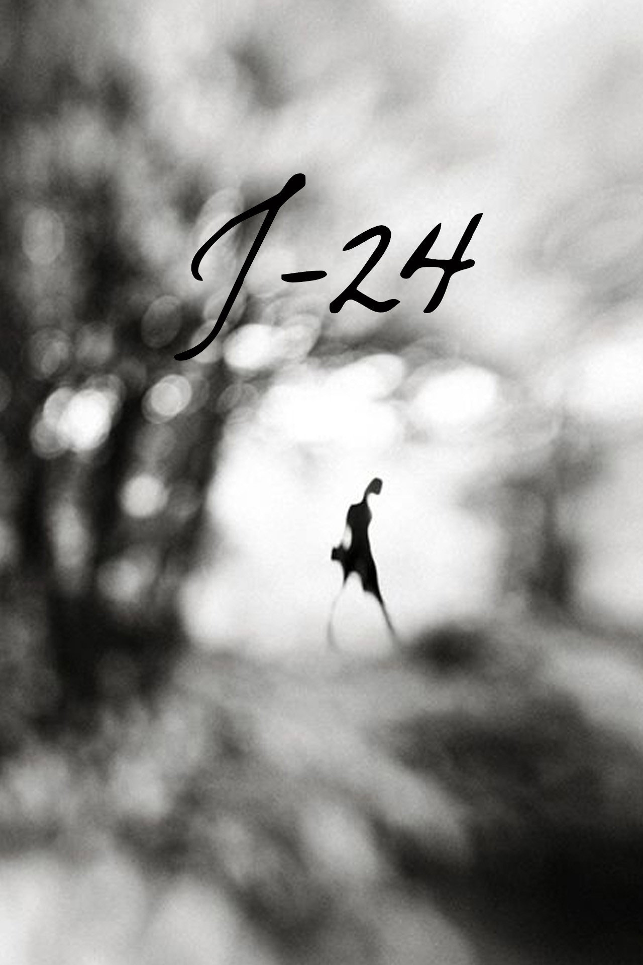 J-24 (1960) poster