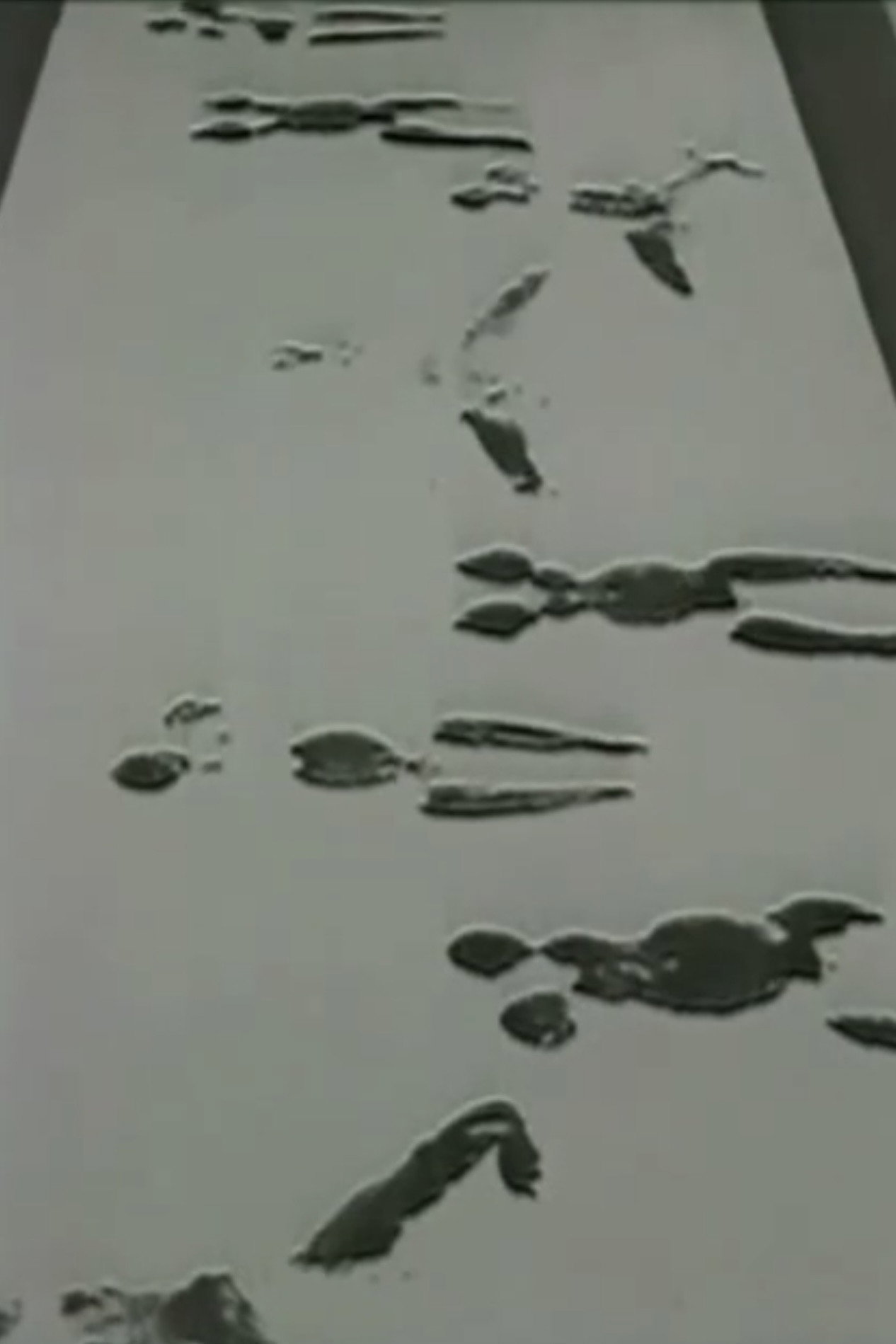 Anthropometries of the Blue Period and Fire Paintings (1960) poster