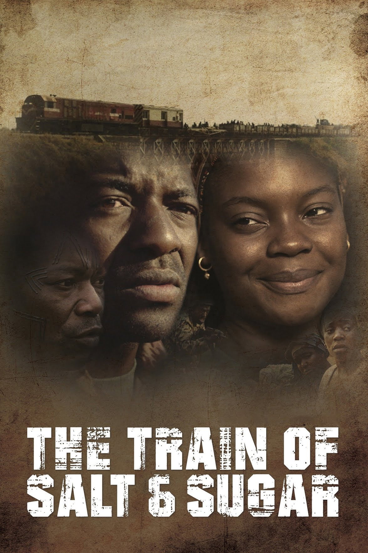 The Train of Salt and Sugar (2016) poster