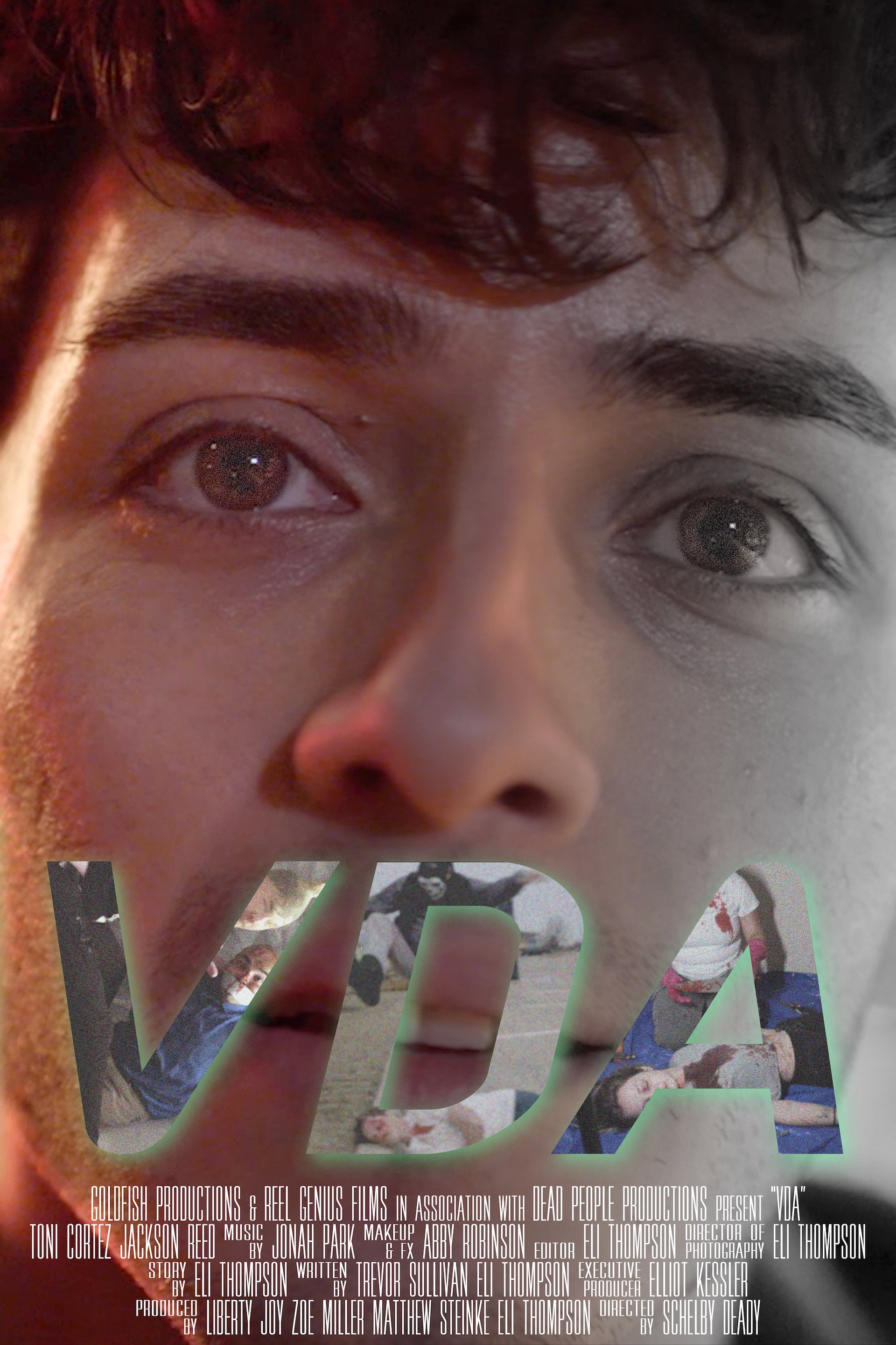 VDA (2026) poster