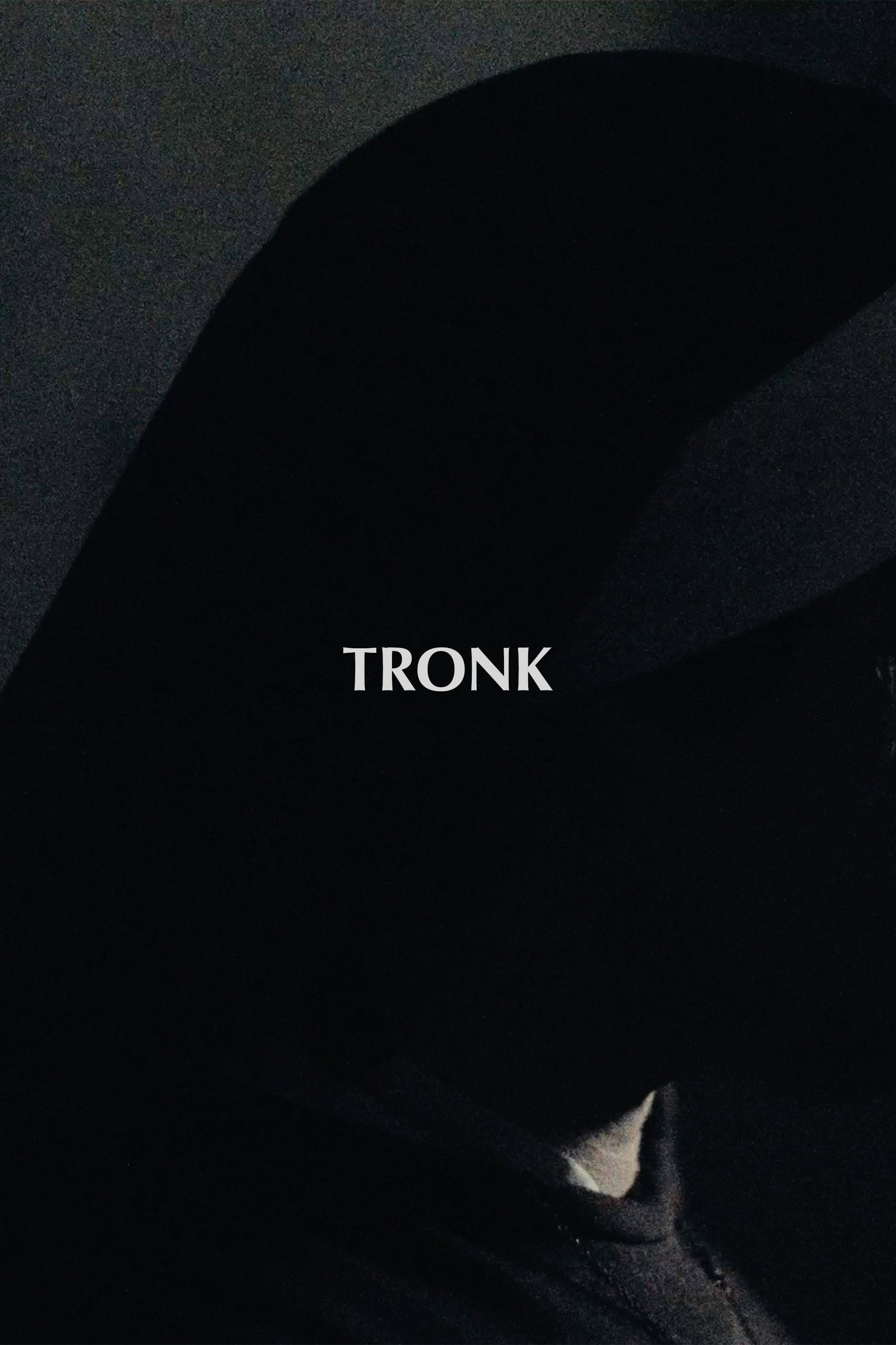 Tronk (2024) poster