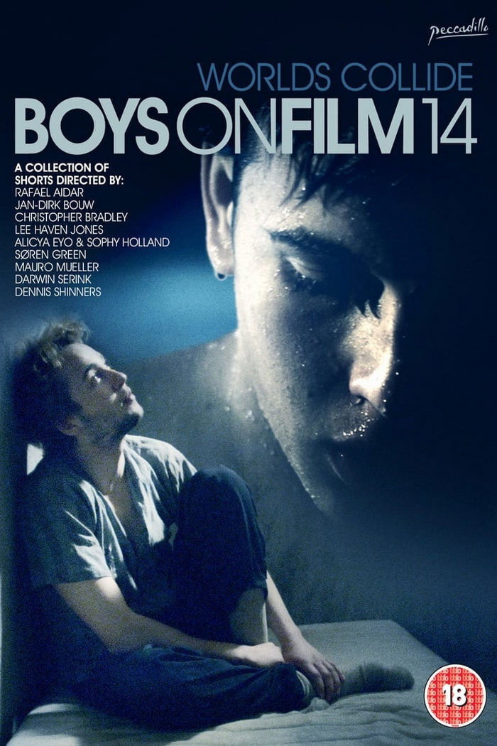 Boys on Film 14: Worlds Collide (2016) poster