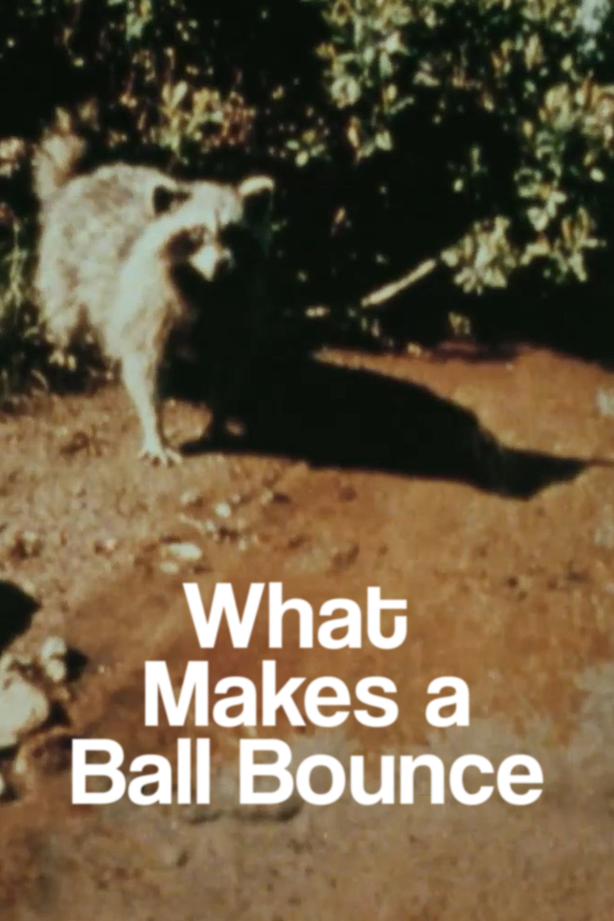What Makes a Ball Bounce (2023) poster