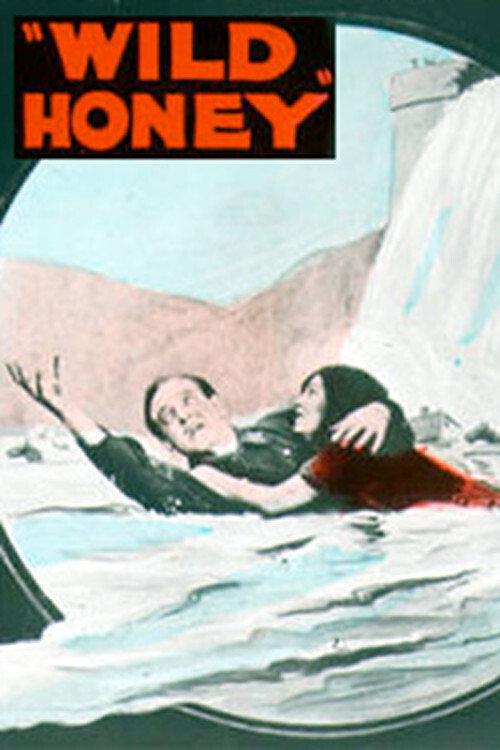 Wild Honey (1922) poster
