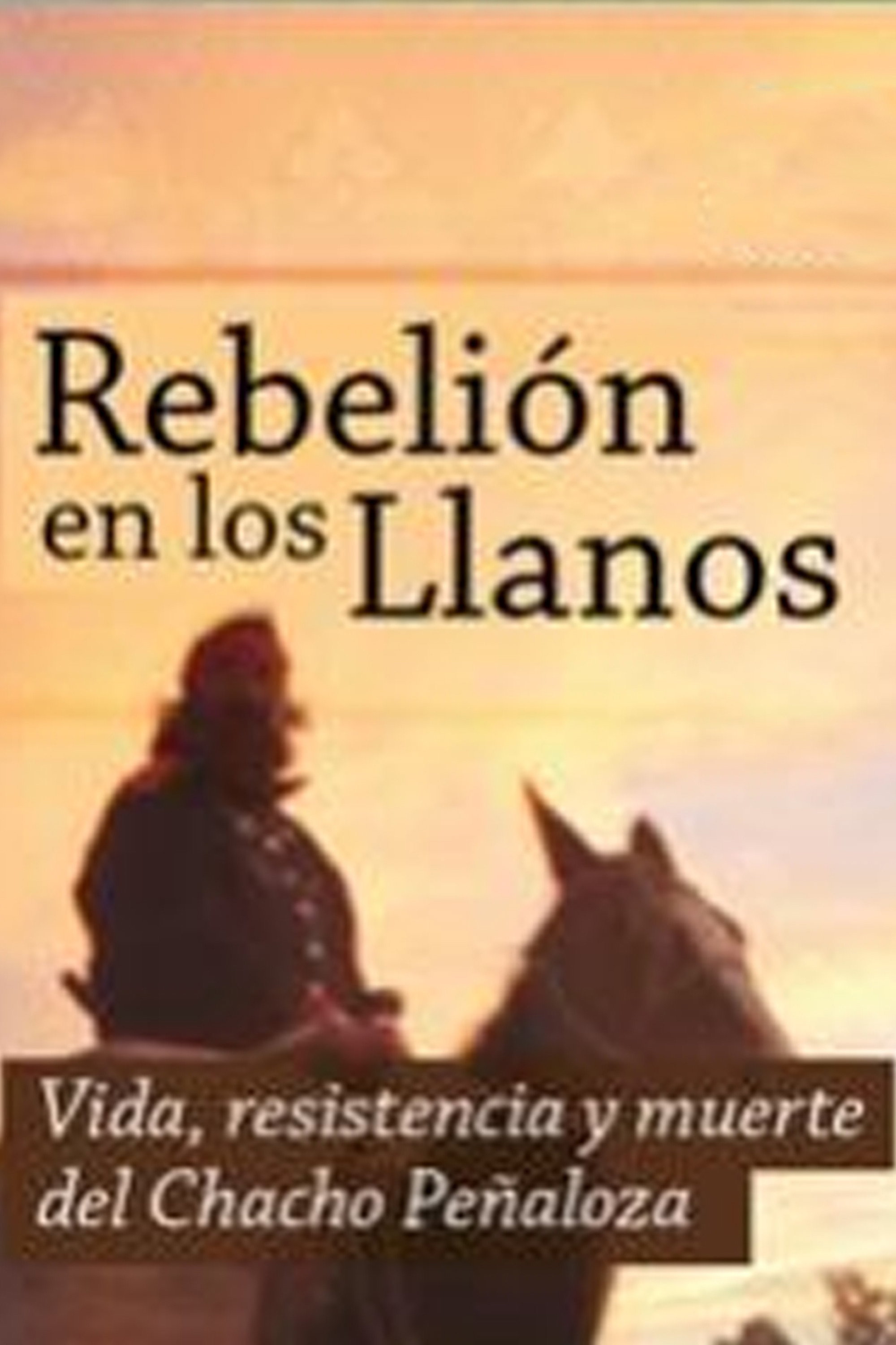 Rebelión en los Llanos (2012) poster