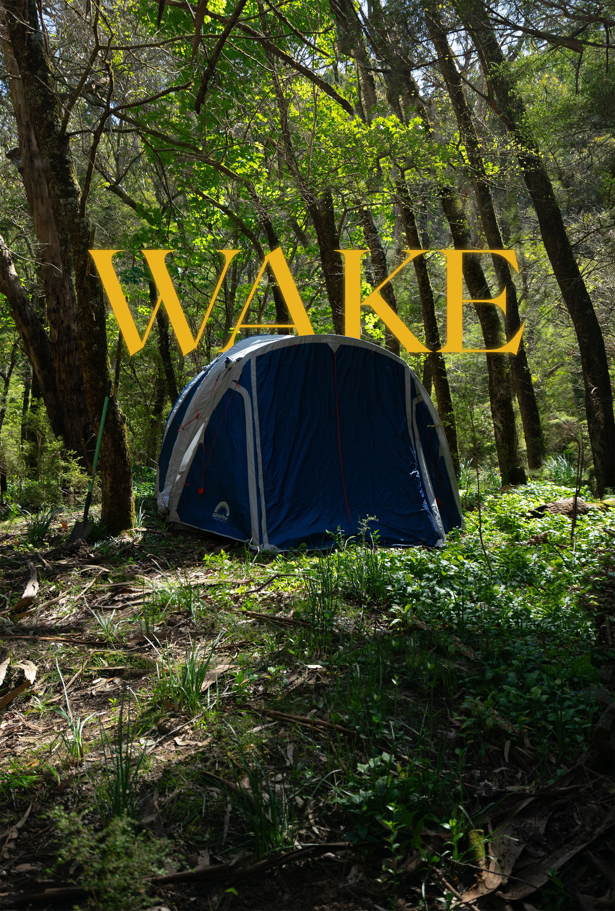 Wake (2025) poster
