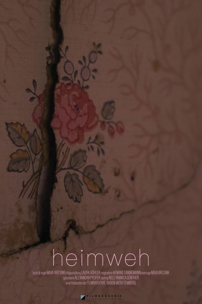 Homesick (2023) poster