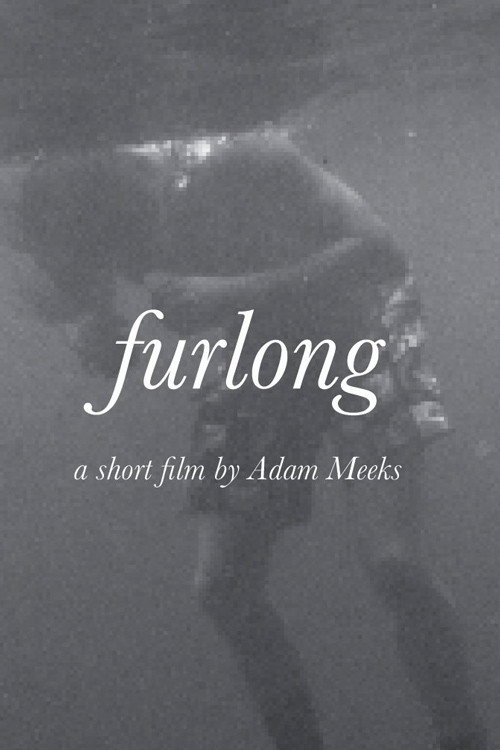 Furlong (2019) poster