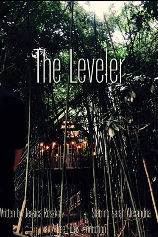 The Leveler (2026) poster