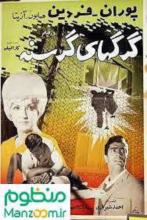 Hungary wolves (1968) poster