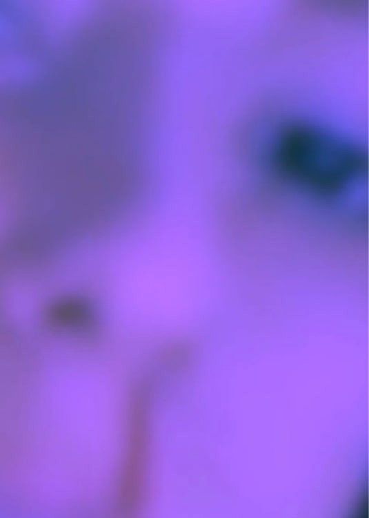 I peel off my fragile skin (2021) poster