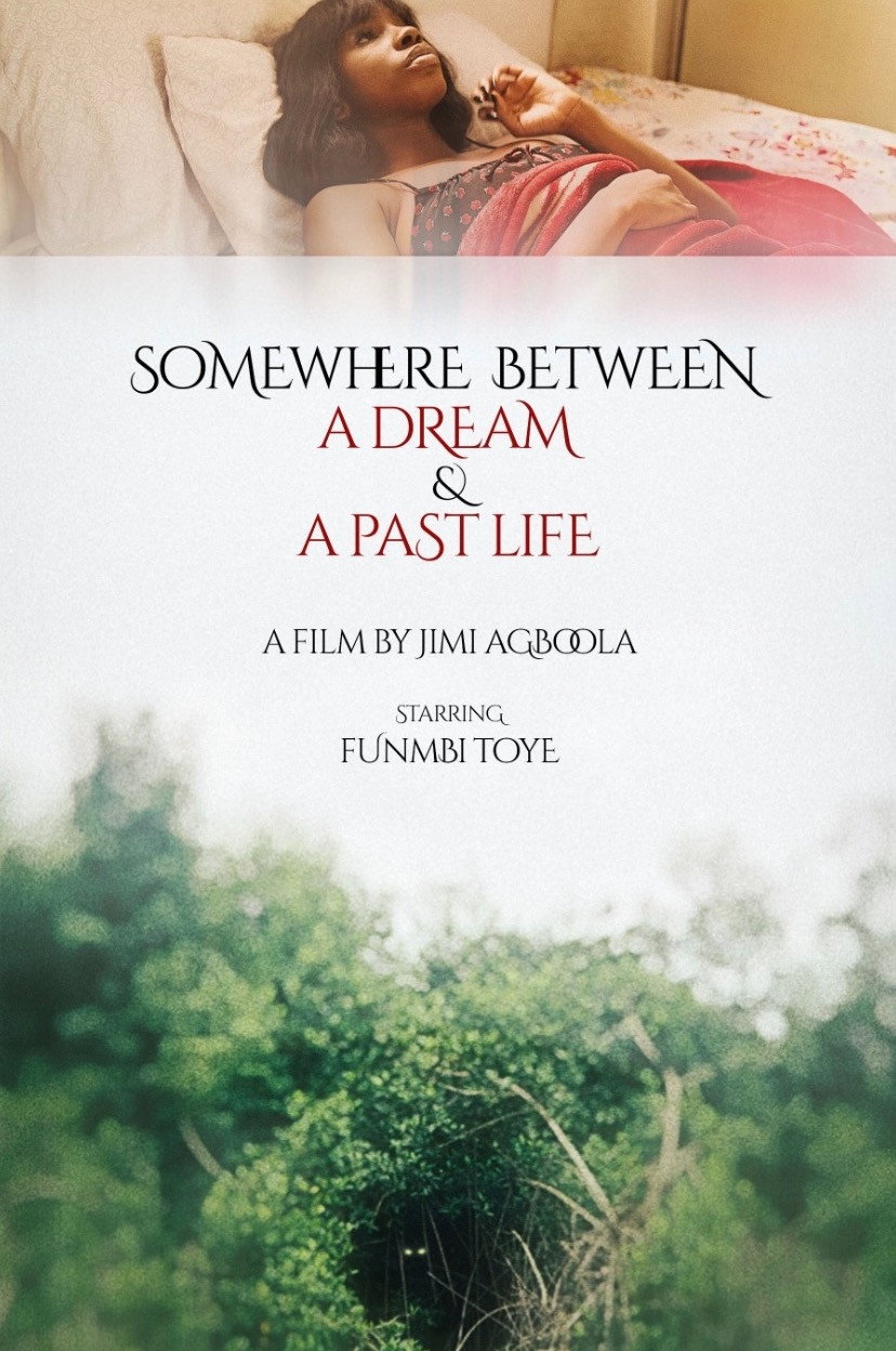 Somewhere Between a Dream and a Past Life (2026) poster