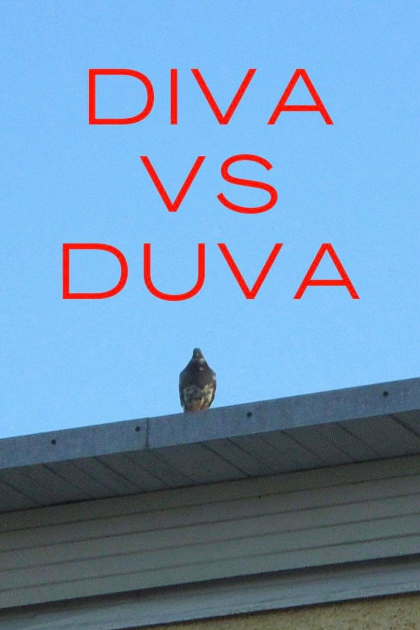Diva vs. Duva (2026) poster