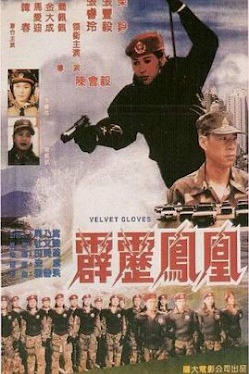 Velvet Gloves (1996) poster