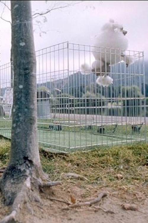 About Dogs And People (1993) poster