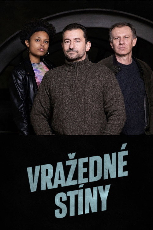 Vražedné stíny (2022) poster